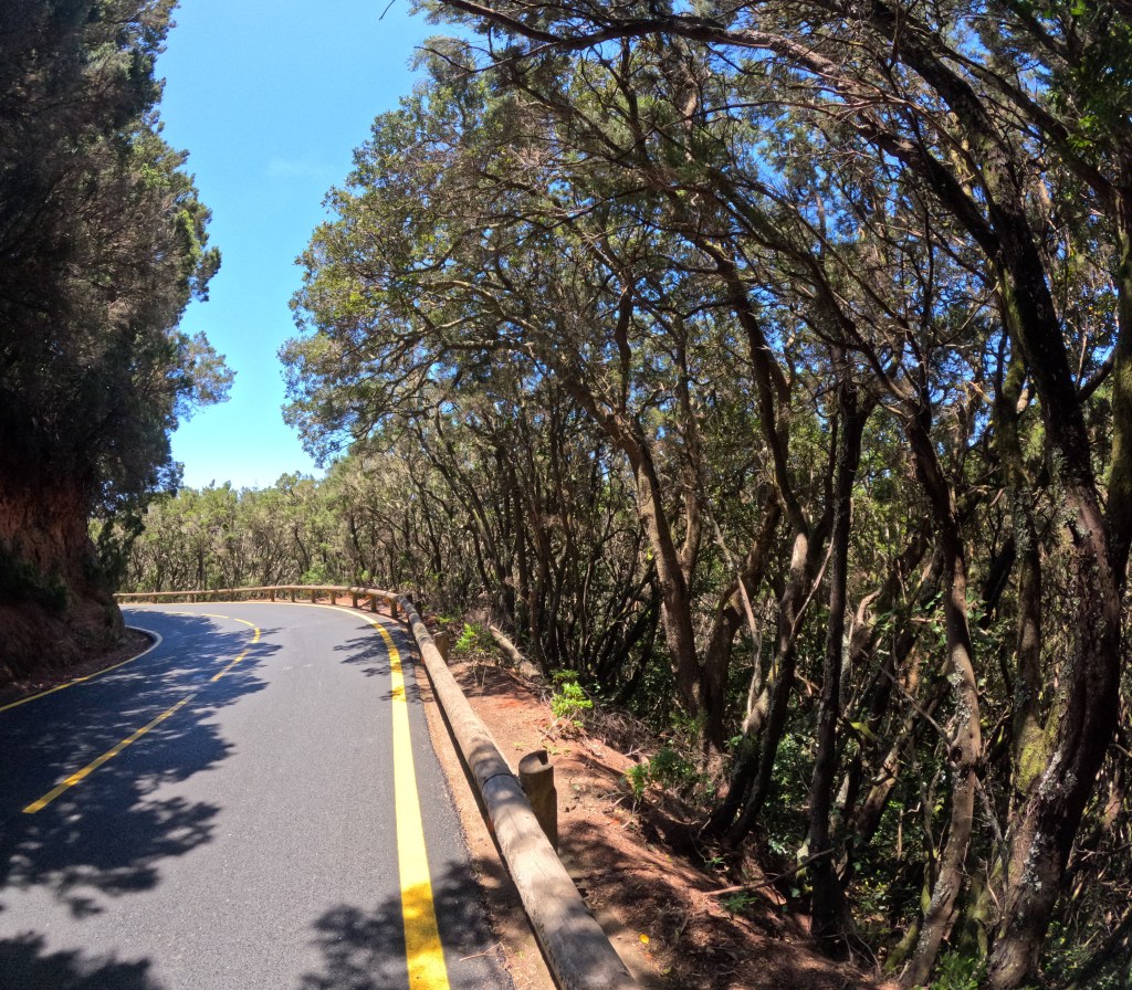 DCIM100GOPROGOPR0016.JPG
